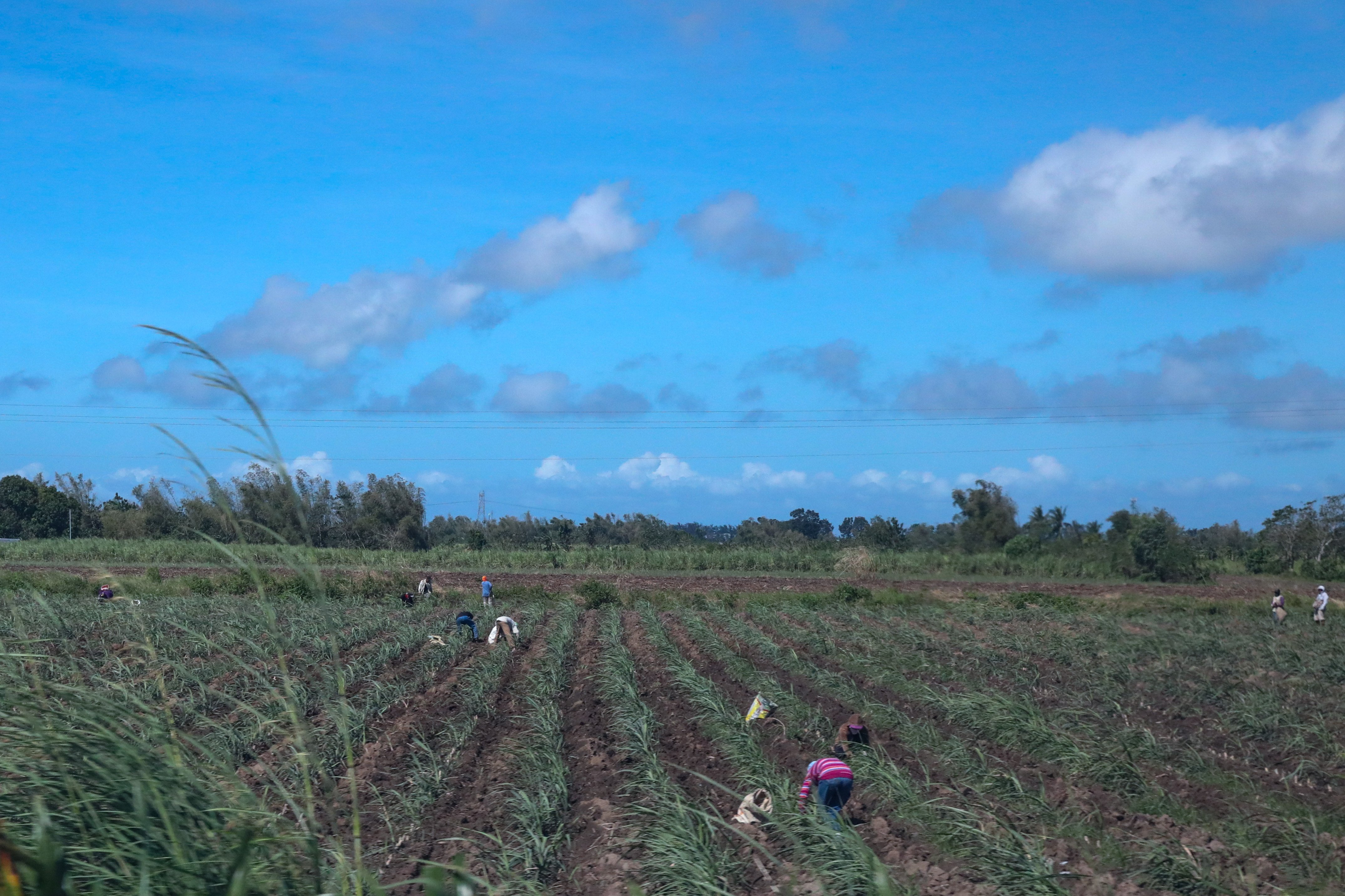 Indigenous rep demands funding in Cordillera climate initiatives
